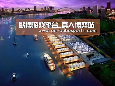 案例展示八
