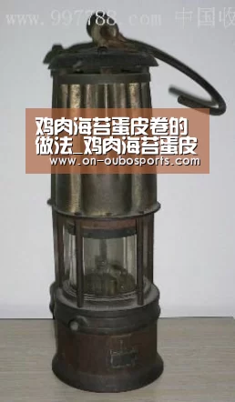 鸡肉海苔蛋皮卷的做法_鸡肉海苔蛋皮卷怎么做_天国的女儿的菜谱-欧博跨平台登录(图1) 欧博